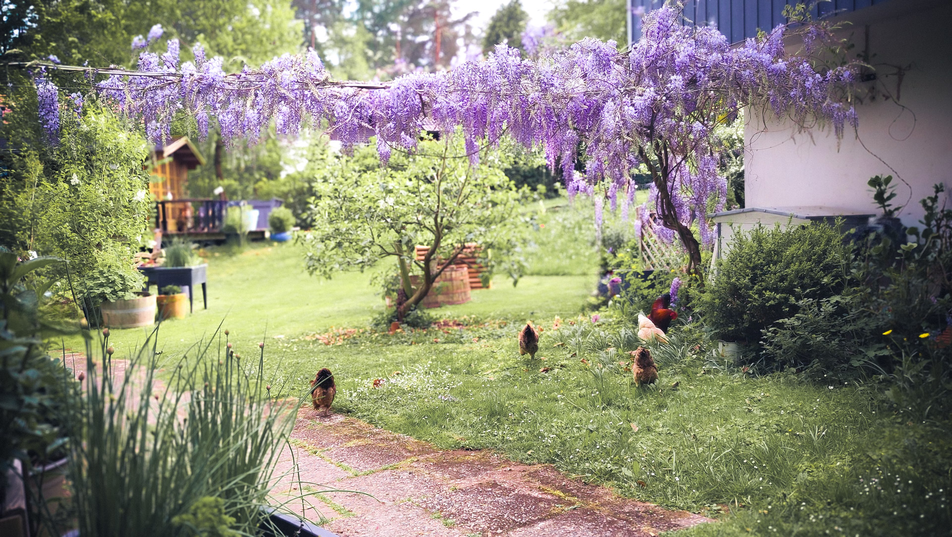 Suedhang_Ferienwohnung-Bad-Arolsen_Garten